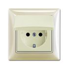 Цвет Сл. кость Basic 55