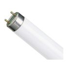 Лампы Линейно-люминесцентные T8/G13