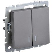 BRITE Выключатель двухклавишный с индикацией 10А ВС10-2-1-БрС сталь