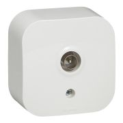 Quteo Белый Розетка TV | 782215 | Legrand