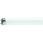 Лампа линейная люминесцентная TL-D 36W/54-765 1SL/25 | 928048505451 | PHILIPS
