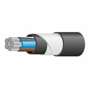 АВБШв 5x10 ок-0,66