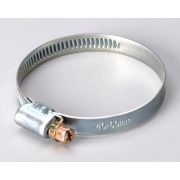 Хомут червячный  PL-9 (40-60 )/W1 | 68987 | Fortisflex