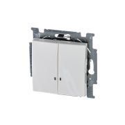 ABB Basic 55 Альп. белый Выключатель 2-клавишный с подсветкой | 1012-0-2154  | 2CKA001012A2154 | ABB