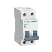 Выключатель автоматический двухполюсный 6A C 6kA City9 | C9F36206 |Systeme Electric